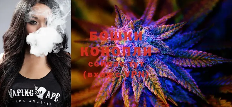 Бошки марихуана SATIVA & INDICA  Каменногорск 